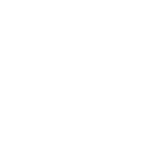 BIV